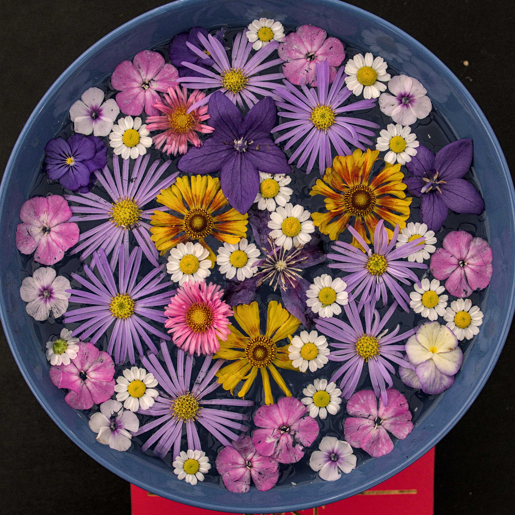 An arrangement of flower heads floating in a bowl of water from above. The flowers are mainly pink and purple, with some yellows to accent