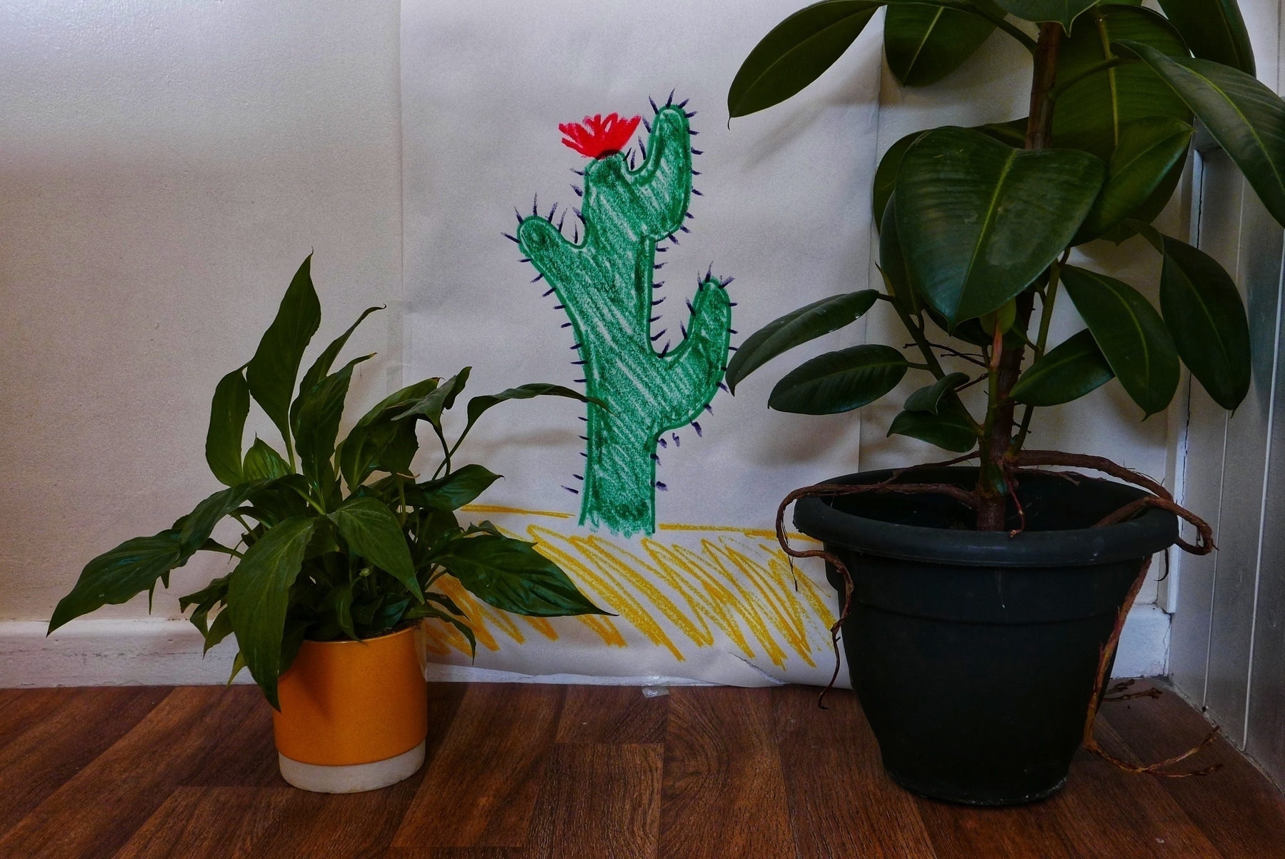 A photograph of a child-like crayon drawing of a cactus, next to two real houseplants